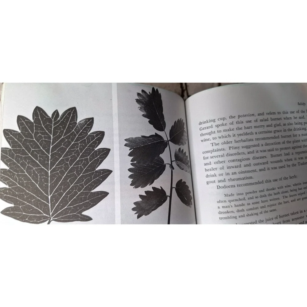 The Rodale Herb Book special deluxe edition How to use grow buy nature's miracle